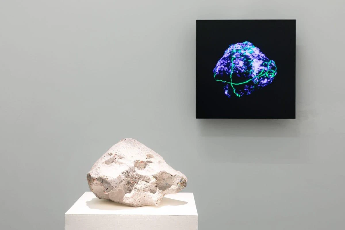 Installation view of Variantology by Agnieszka Kurant showing a pale sculptural rock form displayed on a white pedestal, with a digital image of a similar rock with glowing network-like lines mounted on the wall behind it in a minimalist gallery space