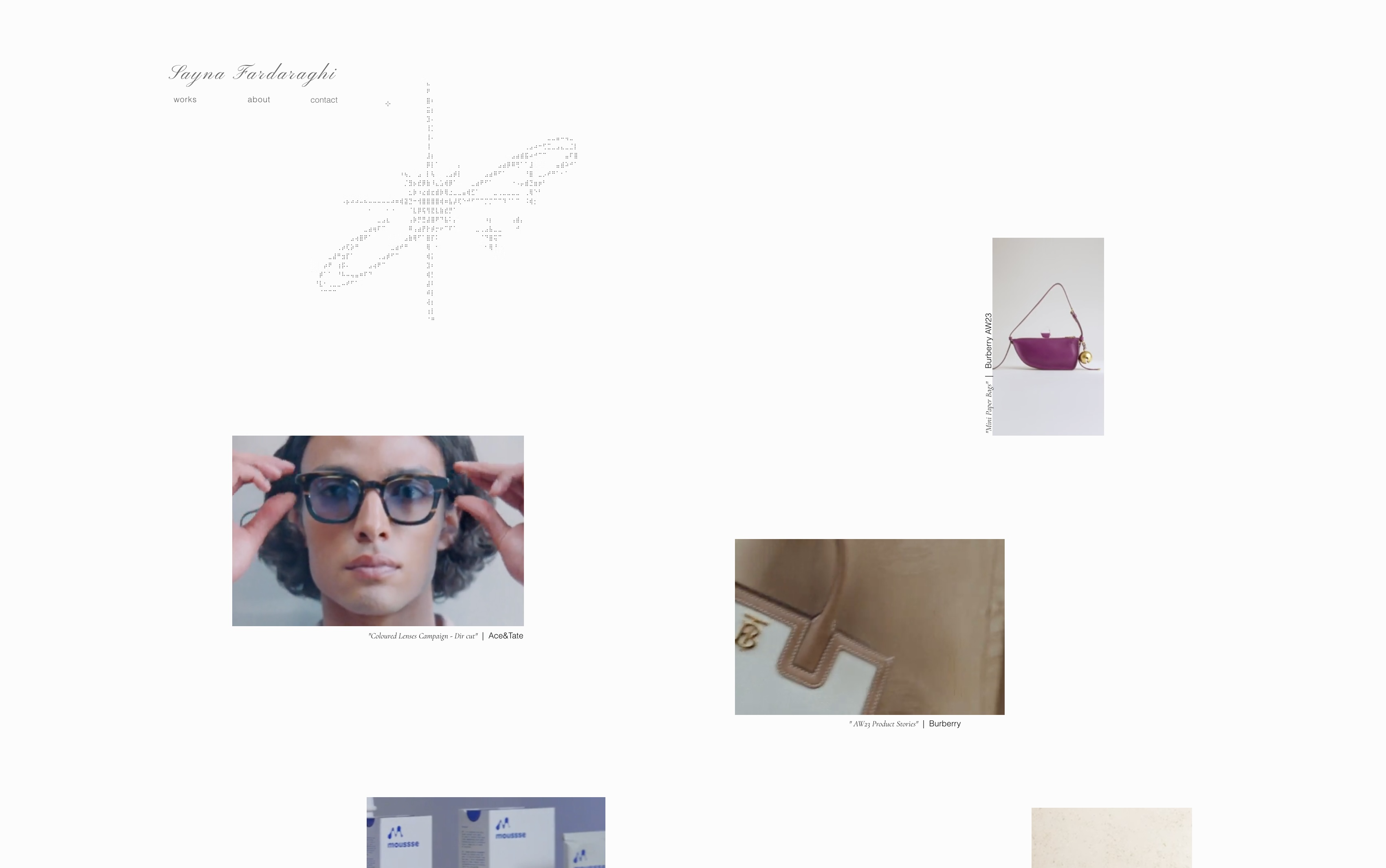 Sayna Fardaraghi portfolio site featuring Acne Studios eyewear campaign and Burberry bag photography